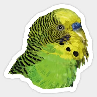 Australian parakeet Sticker